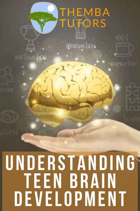 Let us dig deep into the brain development of teenagers. These brain architectural changes dictate why teens present themselves to be moody and impulsive. The adolescent brain does not reach maturation until they are in their mid to late twenties, later than what scientists initially thought. Teenage brains are distinctly different from that of adults. Teenage Brain Development, Teenage Brain, Child Behavior, Late Twenties, Preschool Mom, Homeschool Hacks, Montessori Lessons, Preschool Resources, Learning Differences