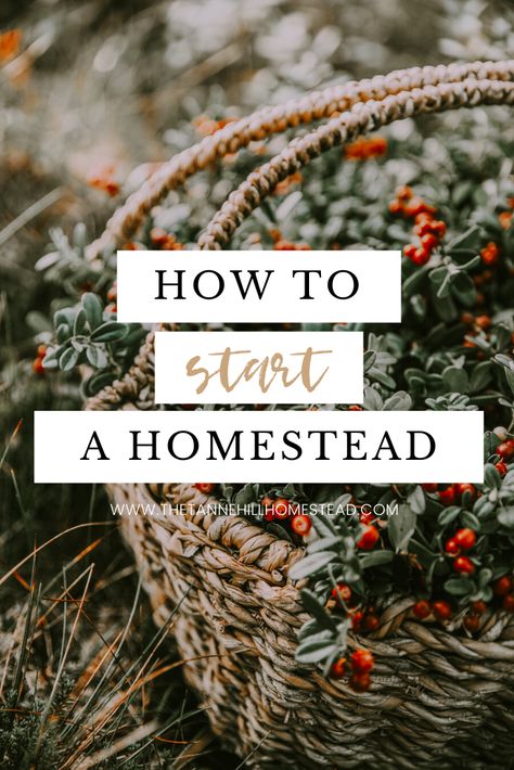 Start A Homestead, Homesteading For Beginners, Sustainable Homestead, Scottish Cottages, Self Sufficient Homestead, Happy Homemaking, Homesteading Diy, Homestead Farm, Happy Farm