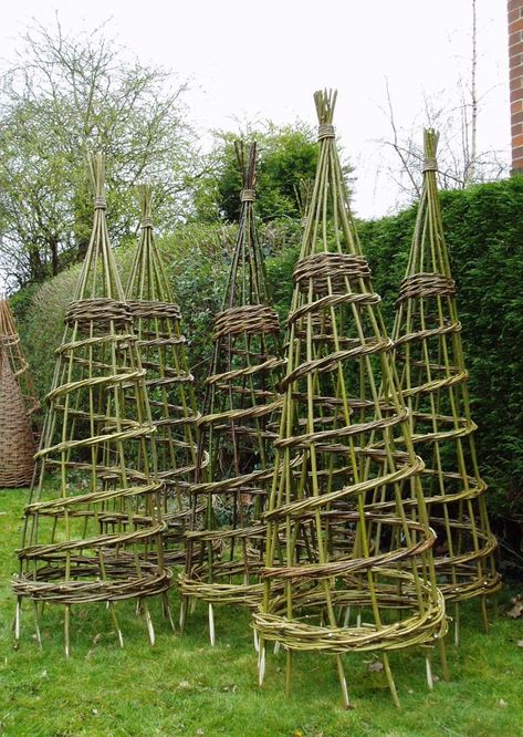 Willow Weaving - Garden Structures - This Is Ingleton Willow Garden, Garden Obelisk, Willow Weaving, Tower Garden, Garden Vines, Tomato Cages, Most Beautiful Gardens, Plant Supports, Garden Trellis