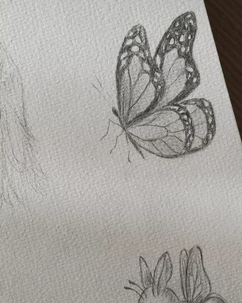 Butterfly Sketch, Butterfly Drawing, Easy Doodle Art, Drawings Ideas, Disegni Artistici, Easy Doodles Drawings, Art Diary, Mini Drawings, Doodle Art Designs