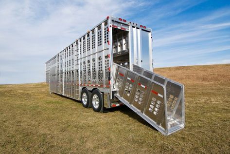 Silverstar Cattle Trailers, Horse Transport, Livestock Trailers, Stock Trailer, Country Trucks, Trailer Diy, Medium Duty Trucks, Custom Big Rigs, Trailer Build