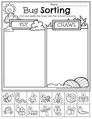 Bug Sorting Worksheet - Preschool Bug Activities Educational Bug Activities, Bug Activities For School Age, Spring Ideas Kindergarten, Crawling Insects Preschool, Insects Kindergarten Crafts, Kids Bug Activities, Bugs Unit Preschool, Insects Preschool Worksheets, Birds And Insects Preschool