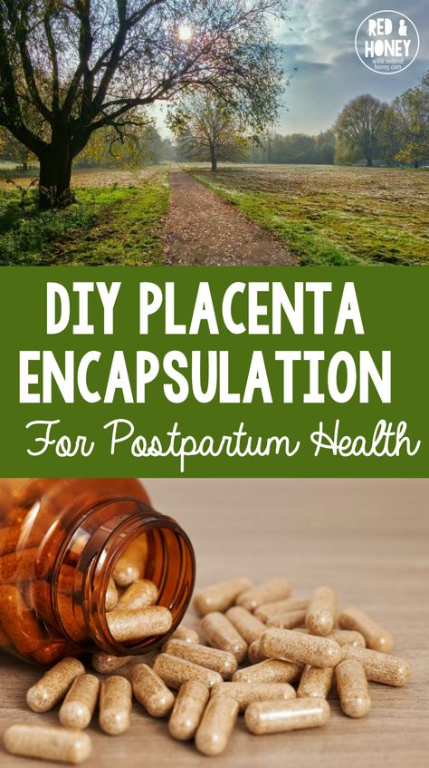 I'm nearly forty weeks pregnant with my third child, and planning to encapsulate and consume my own placenta in order to reap the many health and postpartum healing benefits as has been done in traditional cultures for thousands of years. Here's my tutorial on how to do it yourself at home. Postpartum Healing, Placenta Encapsulation, Postpartum Health, Third Child, Pumping Moms, Natural Pregnancy, Weeks Pregnant, Natural Birth, Pregnancy Birth