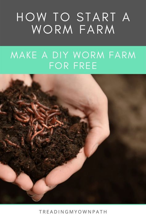 How to Build a DIY Worm Farm Diy Worm Farm, Organic Waste, Plastic Free Living, Worm Farm, Rubbish Bin, Plastic Packaging, Living Well, Green Living, Sustainable Living