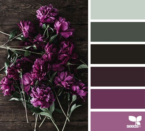 Nuancier chambre principale Color Palette For Home, Seeds Color Palette, Seeds Color, Color Concept, Purple Color Palettes, Color Schemes Colour Palettes, Grey Color Palette, Design Seeds, Color Balance