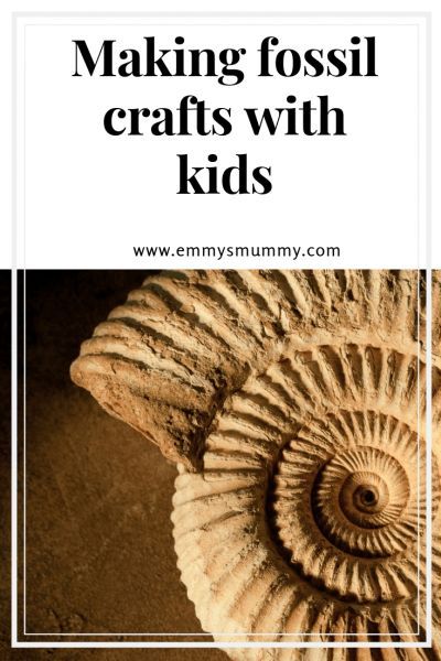 How To Make Fossils For Kids, Making Fossils With Kids, Diy Fossils, Texture Art Projects, Fossils Activities, Crafts With Kids, Fossil Art, Food Activities, 4th Grade Science