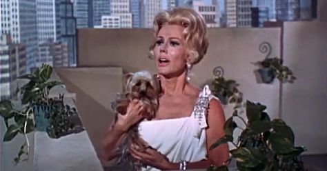 Green Acres wasn't the only way she stayed paid. Gabor Sisters, Petticoat Junction, Eva Gabor, Zsa Zsa, Green Acres, Tv Land, Old Tv, Classic Tv, Music Tv