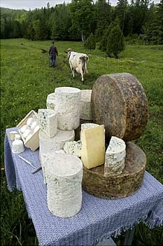 Different Types Of Cheese, Cheese Cave, Farm Cheese, Keto Cocktails, Cheese Maker, Cheese Pairings, Cheese Shop, Types Of Cheese, Best Cheese