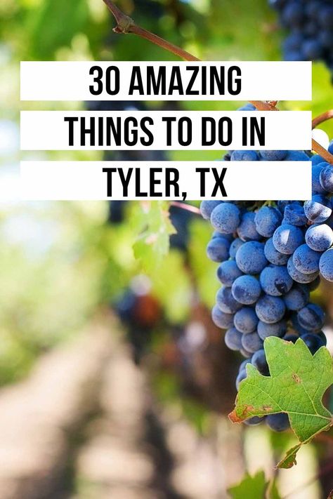 Tyler Texas Downtown, Texas Bucket List, Tyler Texas, Smell The Roses, Tyler Tx, Weekend Activities, East Texas, Bike Rental, Girls Weekend