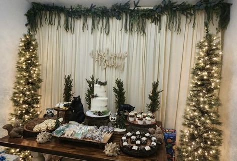 Winter Forest Baby Shower Theme, Outside Shower Ideas, Forest Baby Shower Theme, January Baby Shower, Dessert Table Display, January Baby, Forest Baby Showers, Winter Wonderland Theme, Green Baby Shower