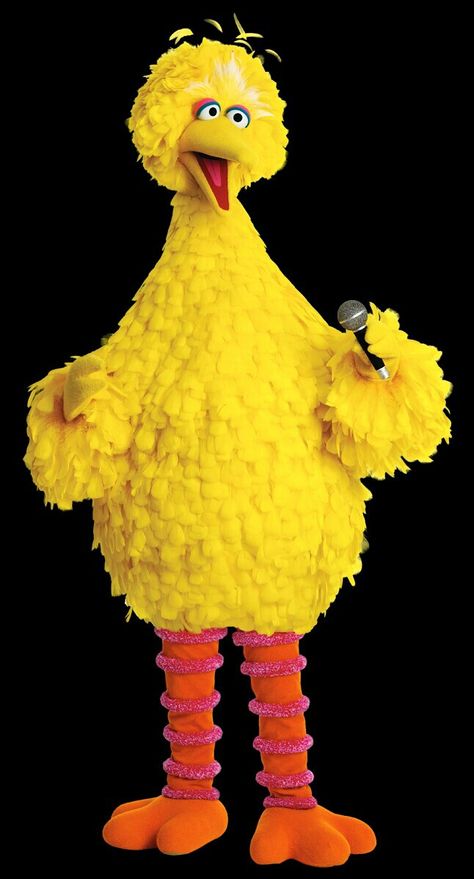 BIG BIRD Big Bird Onesie Costume, Da Biggest Bird, Jane Core, Annoying Characters, Jungle Jims, Big Bird Costume, Beaker Muppets, Muppets Characters, The Muppets Characters