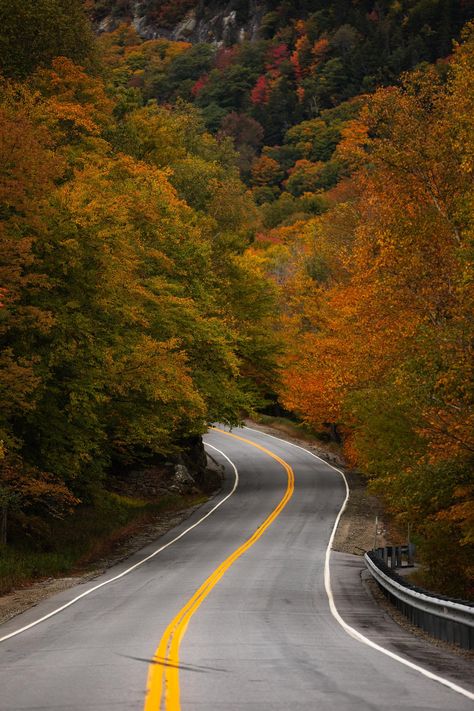 8 Beautiful Places to Visit in Maine in the Fall — Nichole the Nomad Places To Visit In Maine, States To Visit, Maine In The Fall, Baxter State Park, Maine Photography, Portland Head Light, Visit Maine, Maine Coast, Scenic Byway