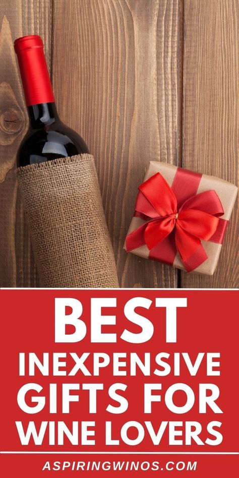 Best Inexpensive Gifts for Wine Lovers | Wine Lovers | Inexpensive Gifts | Gifts for Wine Lovers #InexpensiveGifts #WineLovers #GiftsForWineLovers #BestInexpensiveGifts Wine Lover Gift Ideas, Wine Related Gifts, Bridal Shower Wine Theme, Wine Gift Ideas, Wine Gifts Diy, Gifts For Wine Drinkers, Wine Themed Gifts, Blog Success, Spring Wine