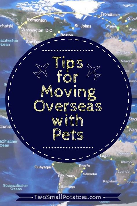 Places To Volunteer, Islands Kitchen, International Travel Essentials, Small Potatoes, Tips For Moving, International Move, Dog Friendly Hotels, Moving Abroad, Moving Overseas