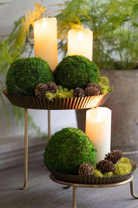 Moss Centerpieces, Moss Decor, Moss Ball, Moss Wall Art, Wedding Display, Moss Balls, Moss Garden, Natural Decor, Preserved Moss