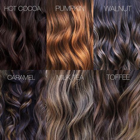 Brunette Tones Chart, Brunette Tones, Brown Hair Looks, Hair Creations, Dark Circles, Brunettes, Hair Looks, Brown Hair, Hair And Beauty