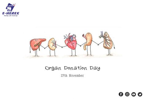 World Organ Donation Day Creative Poster, Organ Donation Quotes Inspiration, Organ Donation Slogans, Organ Donation Poster Drawing, Organ Donation Poster Creative, Organ Donation Quotes, Organ Donation Poster, Donation Poster, Donation Quotes