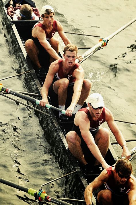 Rowing Photography, Men's Rowing, Henley Royal Regatta, Rowing Crew, Rowing Team, Frat Guys, Row Row Your Boat, Classy Girls Wear Pearls, Rowing