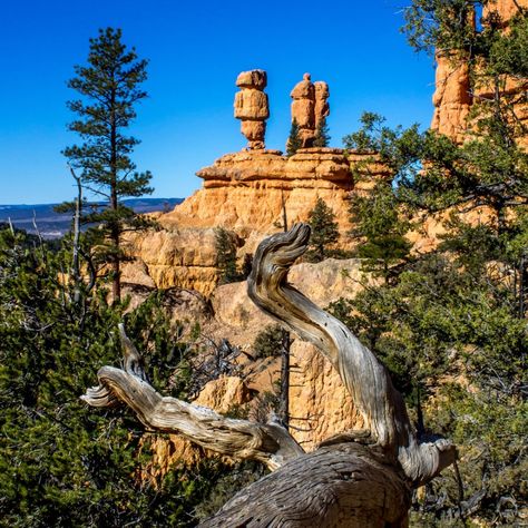 Capital Reef National Park, Utah Parks, Red Canyon, Escalante National Monument, Utah Hikes, Scenic Roads, Utah Travel, Kings Canyon, Colorado Hiking