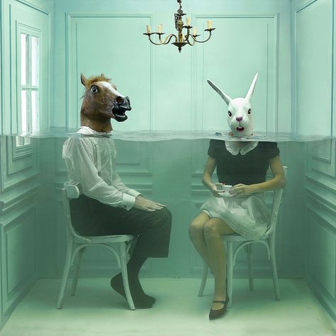 Surealism Art, Surreal Portrait, Surreal Artwork, Surreal Photos, Surrealism Photography, Unusual Art, Surrealism Painting, A Bunny, The Zoo