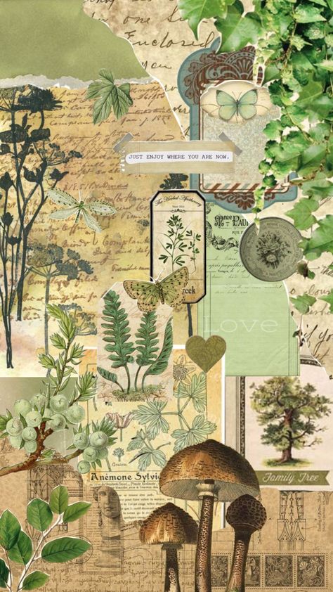 #plantsarecool #collage #green #plantaesthetics #greenboard #natureshuffles Aesthetic Flores, Cottagecore Wallpaper, Whats Wallpaper, Nature Collage, Fairy Wallpaper, Folk Art Flowers, Witchy Wallpaper, Trippy Wallpaper, Collage Background