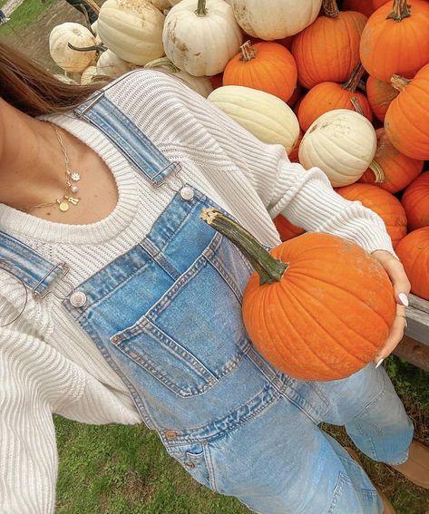 Fall Pfp, Pumpkin Patch Photoshoot, Pumpkin Patch Pictures, Fall Photo Shoot Outfits, Pumpkin Patch Outfit, Picture Inspiration, Preppy Fall, Pumpkin Spice Season, Fall Inspo