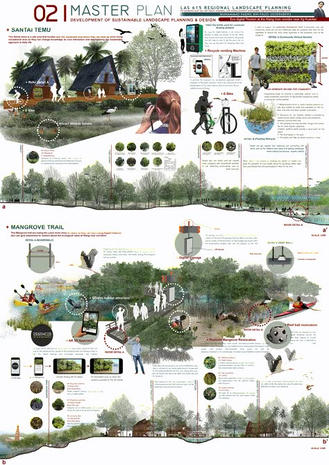 Riparian Landscape Design, Ecosystem Diagram, Landscape Architecture Board, Landscape Design Concept, Presentation Board Ideas, Landscape Architecture Presentation, Landscape Diagram, Landscape Architecture Diagram, Board Presentation