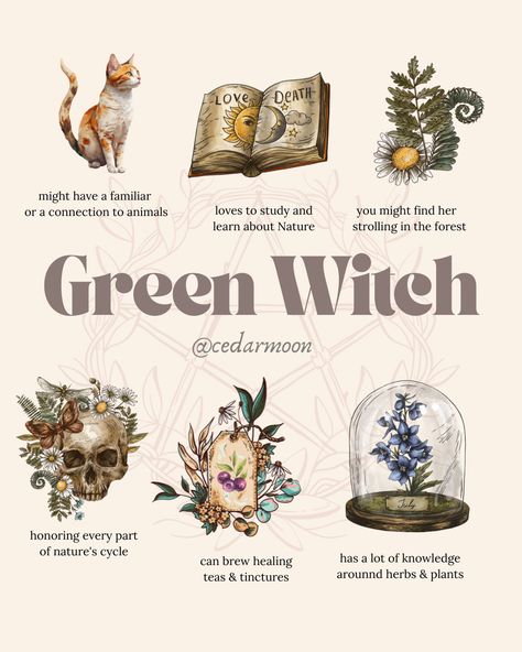 Learn more about how to become a witch, rituals, spellwork and tips on the Witches Haunt. Green Witch Gifts, Green Witch Tattoo Ideas, Hearth Witch Aesthetic, Witchy Habits, Garden Witchcraft, Hearth Magic, Spiritual Crafts, Witch Types, Healing Teas