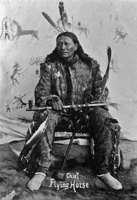 Chief Flying Horse, the older brother of the minor Sitting Bull charged into Captain Henry Jackson's men, knowing full well he would be killed but his actions permitted enough time for women and children to get further away. Turtle Island, Native American Chief, Native Pride, Black Indians, Native American Photos, Indian Tribes, Native American Peoples, Captain Jack, American Indian Art