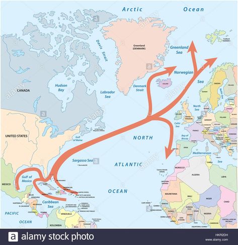 Download this stock vector: Map of the Gulf and North Atlantic stream in the Atlantic Ocean - HKR2DH from Alamy's library of millions of high resolution stock photos, illustrations and vectors. North Atlantic Ocean, Blue Jellyfish, Ocean Current, Ancient Animals, Arctic Ocean, Photo Maps, Tropical Blue, North Sea, Map Vector