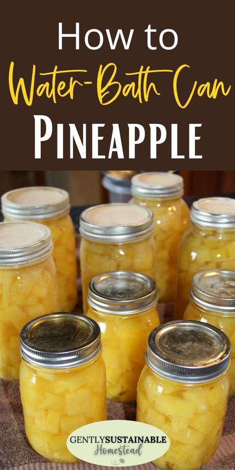 Canning Pineapple, Can Pineapple, Easy Canning, Pressure Canning Recipes, Canning Fruit, Home Canning Recipes, Healthy Nutrition Plan, Canning Vegetables, Canning Food Preservation