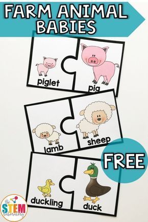 FREE Farm Animal Puzzles! Love this adorable matching game that is perfect for a farm animal or life science unit with preschool, kindergarten or first grade this spring! #farmanimals #freepuzzles #preschool #kindergarten #theSTEMLaboratory Farm Activities Preschool, Farm Animals Preschool, Farm Lessons, Farm Animals Activities, Baby Animal Names, Farm Theme Preschool, Baby Turkey, Free Printable Puzzles, Animal Lessons