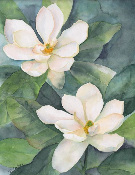 Magnolia :: Behance Realistic Rose Drawing, Sketches Vintage, Garden Illustrations, Floral Sketches, Flower Anatomy, Magnolia Pictures, Magnolia Paint, Watercolor Quilt, Sky Art Painting