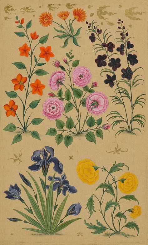 Dara Shikoh, Shah Jahan, Floral Borders, Mughal Paintings, Persian Miniature, Islamic Culture, Future Wife, Floral Illustrations, Miniature Painting