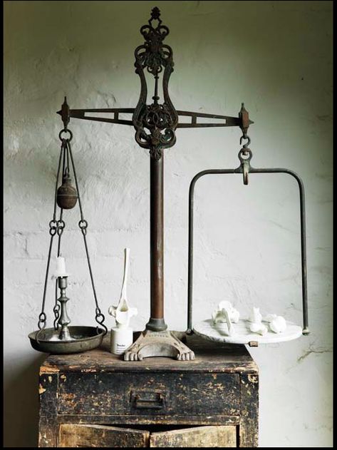 scales - excerpt from Bowerbird by Sibella Court // Yep. Keep going. Sibella Court, Old Scales, Vintage Scale, Kitchen Scale, Eclectic Interior, Vintage Industrial, Vintage Kitchen, Scales, Vintage Collection