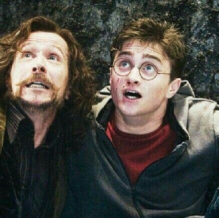 Sirius et harry Hp Headcanon, Harry Potter Hogwarts Houses, Black Photo, Harry James Potter, Harry Potter 2, All This Time, Harry Potter Pictures, After All This Time, Harry Potter Films