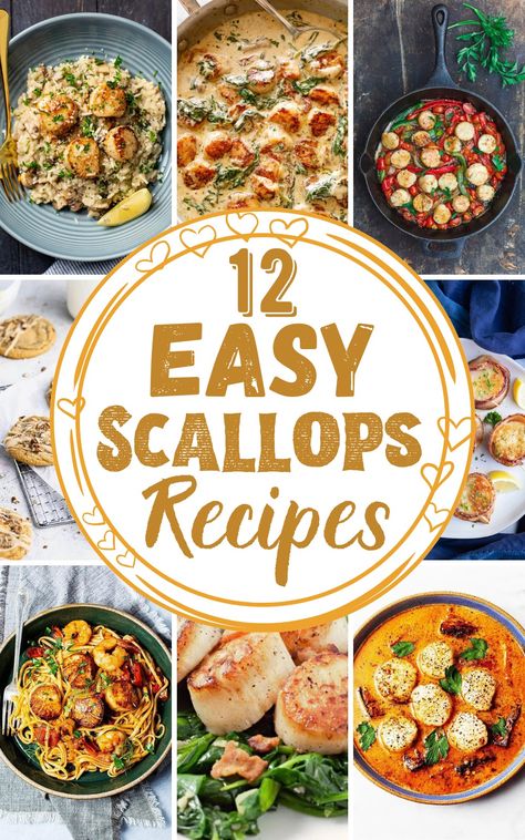 Whether you crave something spicy or a tang of lemon herb, our Easy Scallop Recipes cater to diverse palates. Healthy Seafood Meals, Recipes With Seafood, Scallop Recipes Healthy, Easy Scallop Recipes, Shrimp And Scallop Recipes, Homemade Crab Cakes, Copycat Food, Grilled Scallops, Food Bites