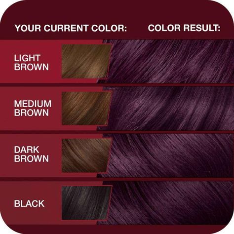 Merlot Hair Color, Hair Colors Ideas, Violet Hair Colors, Dyed Hair Blue, Plum Hair, Short Red Hair, Beauty Hair Color, Vidal Sassoon, Violet Hair