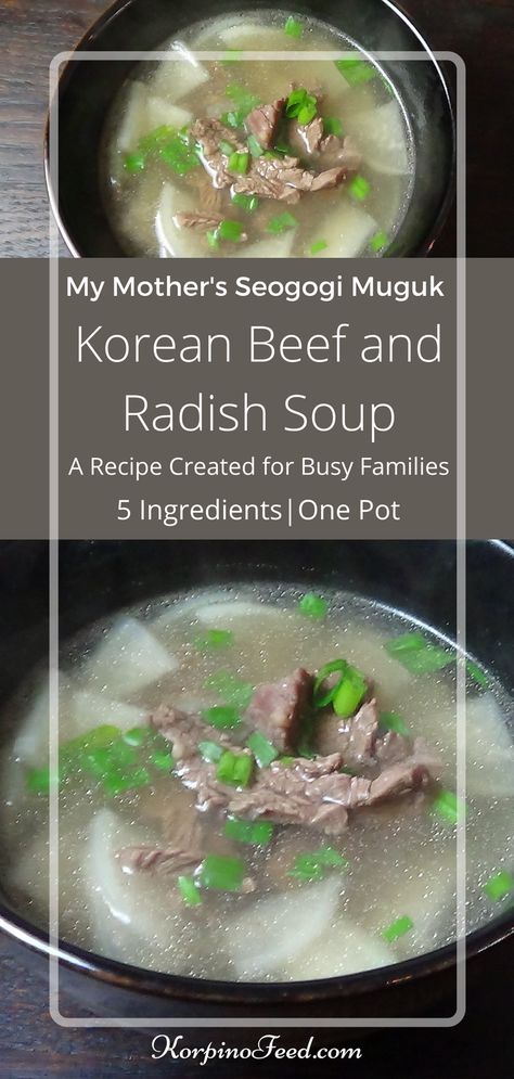 Beef Radish Soup, Korean Beef Soup, Korean Soup Recipes, Soup One Pot, Soup Korean, Radish Soup, Korean Radish, Soup Fall, Korean Beef Recipes