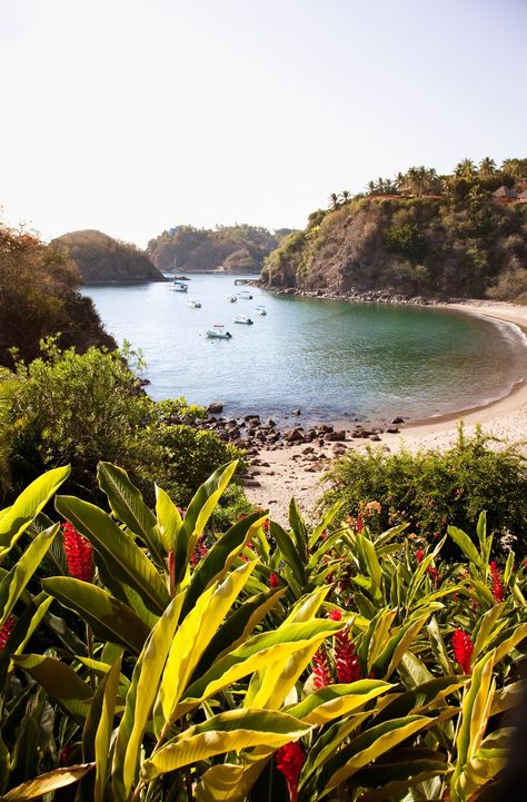 The Best Beaches in Mexico - Condé Nast Traveler Marieta Islands, Beaches In Mexico, Best Beaches In Mexico, Mexico Beaches, Sea Of Cortez, Beach Destinations, Mexico Resorts, Baja California Sur, Hidden Beach