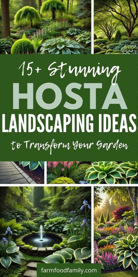 15+ Brilliant Hosta Landscaping Ideas for a Low-Maintenance Garden 34 Hasta Landscaping Ideas, Midwest Landscaping Ideas, What To Plant With Hostas, Hosta Gardens Layout, Hosta Landscaping, Hostas Landscaping, Yard Flowers, Shade Garden Plants, Hosta Gardens