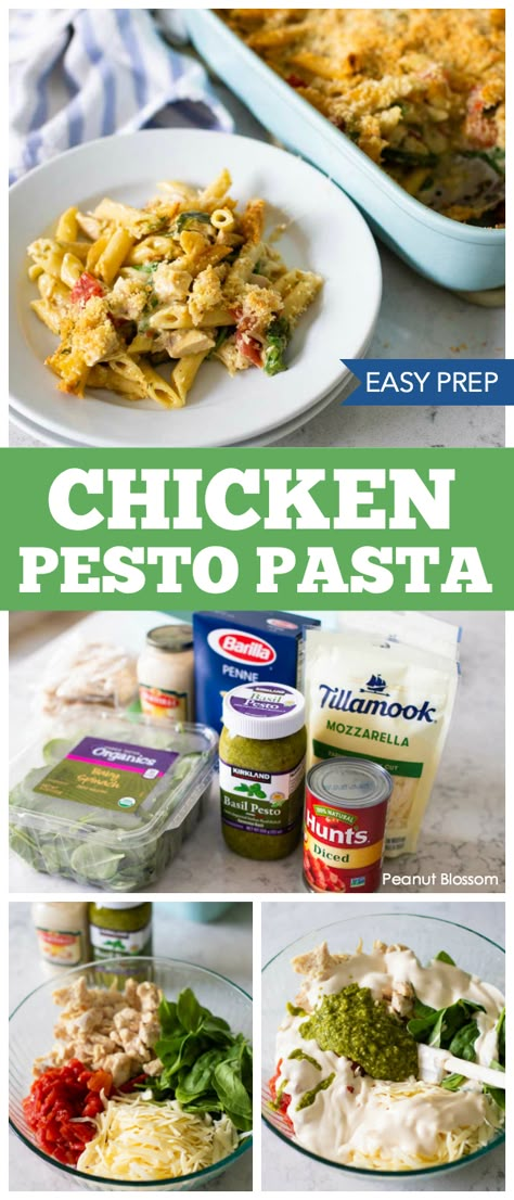 Meals To Cook Together, Pasta With Diced Tomatoes, Pesto Chicken Casserole, Pesto Alfredo Sauce, Easy Pesto Chicken, Healthy Vegetarian Pasta, Chicken Spinach Recipes, Pesto Alfredo, Creamy Pesto Chicken