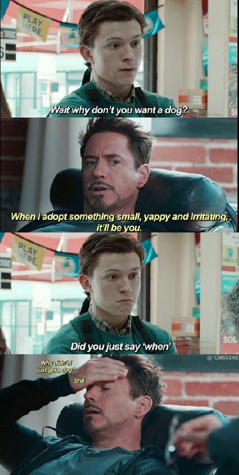 Peter needs a dad... Tony needs a son... *GASP* It's a match made in heaven! Avengers Humor, Laughing Funny, Superhero Memes, Movies Quotes, Funny Marvel Memes, Marvel Quotes, Tom Holland Spiderman, Marvel Avengers Funny, Dc Memes