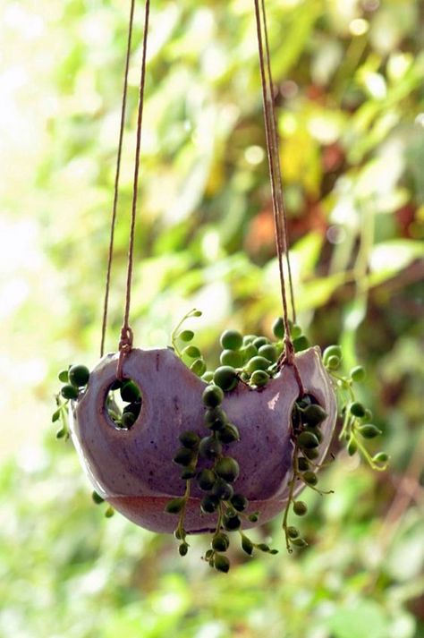 40 Elegant DIY Hanging Planter Ideas For Indoors - Bored Art Diy Hanging Planter, Plants Growing, Deco Nature, Pottery Handbuilding, Garden Pottery, Keramik Design, Cement Crafts, Ceramics Pottery Art, Pottery Planters