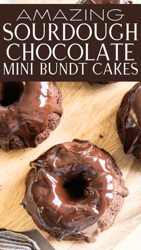 These easy sourdough double chocolate mini bundt cakes are the perfect treat to make using your sourdough discard!