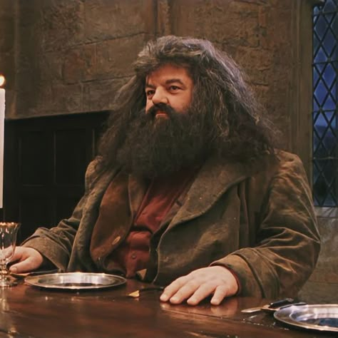 Robbie Coltrane, Rubeus Hagrid, Daniel Radcliffe, Harry Potter, Hair