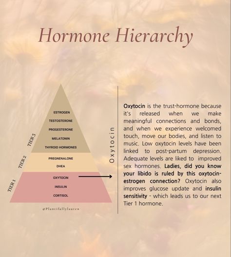 Low Cortisol Levels, Skin Care Guide, Healthy Hormones, Polycystic Ovarian Syndrome, Feminine Health, Thyroid Hormone, Cortisol Levels, Hormone Health, Nutrition Coach