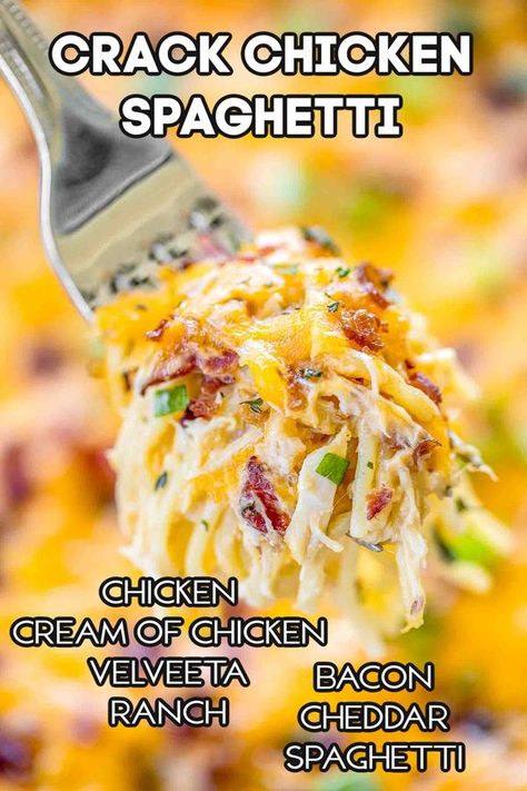 Chicken Spaghetti Recipe Velveeta, Best Chicken Spaghetti, Best Chicken Spaghetti Recipe, Spaghetti Chicken, Chicken Spaghetti Recipe, Chicken Spaghetti Recipes, Plain Chicken, Spaghetti Recipe, Chicken Spaghetti