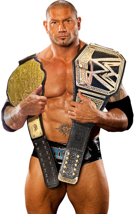 Wwe World Heavyweight Championship, Batista Wwe, Randy Orton Wwe, Man Anatomy, World Heavyweight Championship, Wwe Legends, Wwe World, Ric Flair, Vince Mcmahon