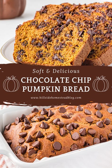 Chocolate Chip Pumpkin Bread - Hillside Homestead Pumpkin Chocolate Chip Bread Moist, Chocolate Pumpkin Bread Recipe, Easy Pumpkin Bread With Chocolate Chips, Easy Pumpkin Chocolate Chip Bread, Pumpkin Chocolate Bread, Chocolate Chip Pumpkin Bread Recipe, Pumpkin Bread With Chocolate Chips, Easy Pumpkin Bread Recipe, Fall Bread Recipes